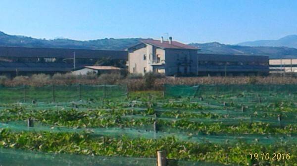 allevamento e casa.jpg