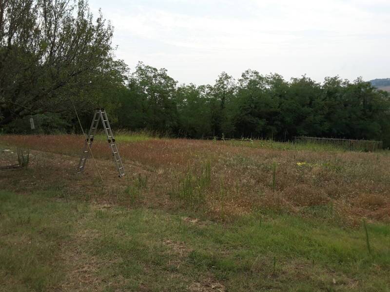 04 OFFAGNA- Agriturismo con uliveto.jpg