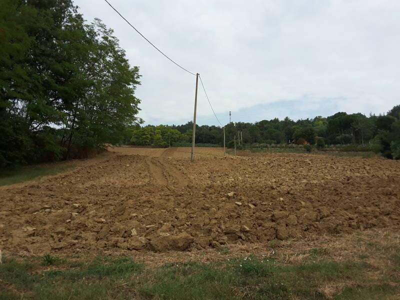 02 OFFAGNA- Agriturismo con uliveto.jpg