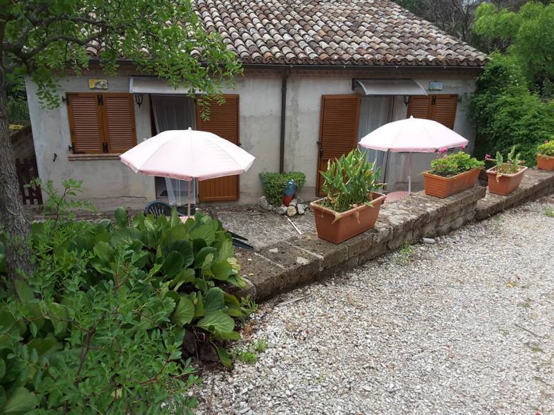 012 OFFAGNA- Agriturismo con uliveto.jpg