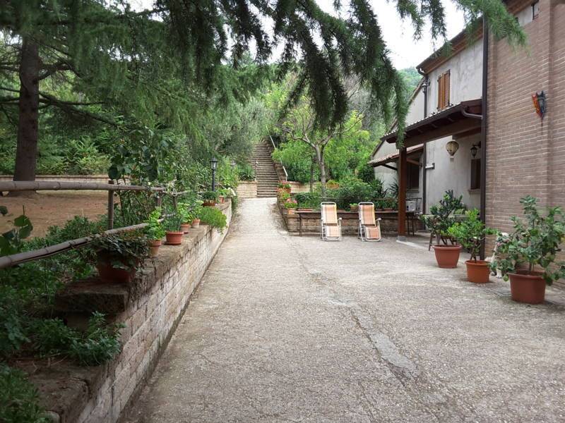 013 OFFAGNA- Agriturismo con uliveto.jpg