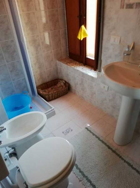 IMG_20200109_115508 (598x800).jpg