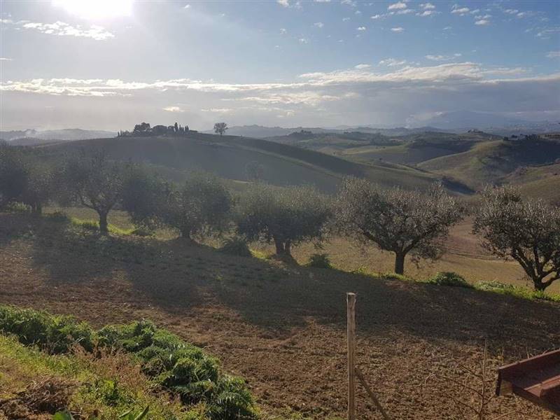 casa singola in vendita ad Acquaviva Picena (16).j