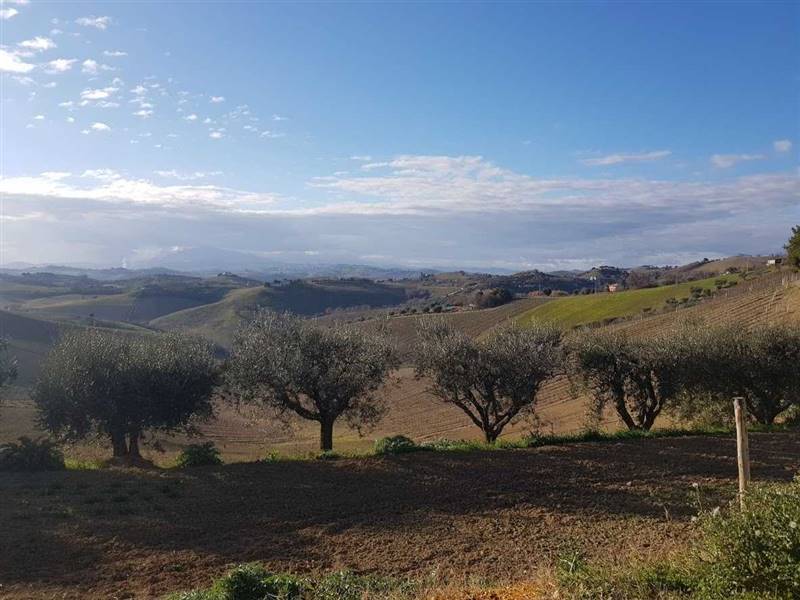 casa singola in vendita ad Acquaviva Picena (14).j