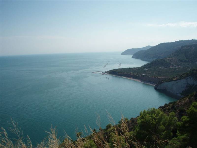 013 MATTINATA Terreno collinare  all'interno d