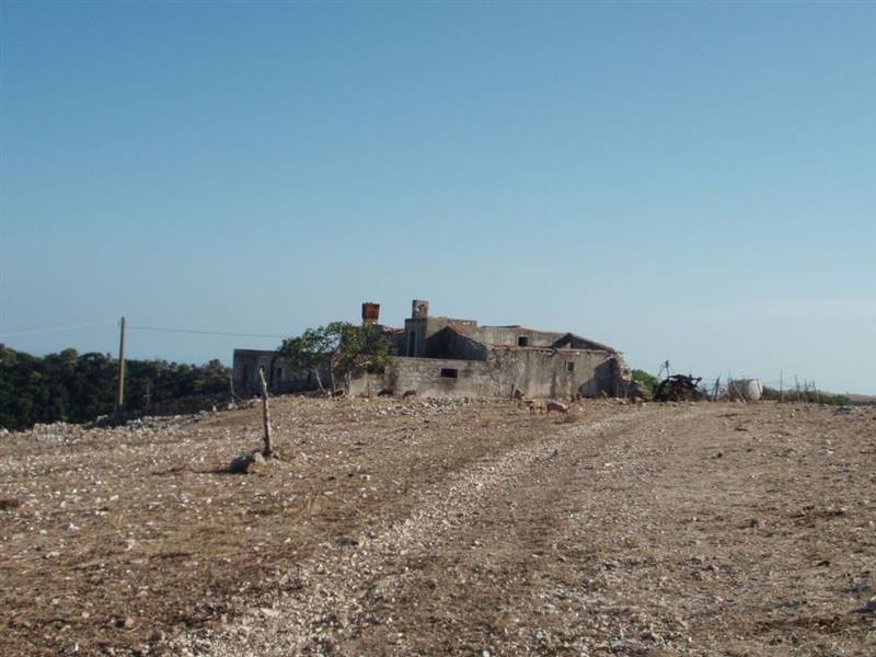 07 MATTINATA  Terreno collinare  all'interno de