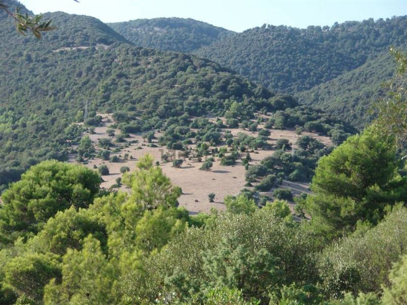 03 MATTINATA  Terreno collinare  all'interno de