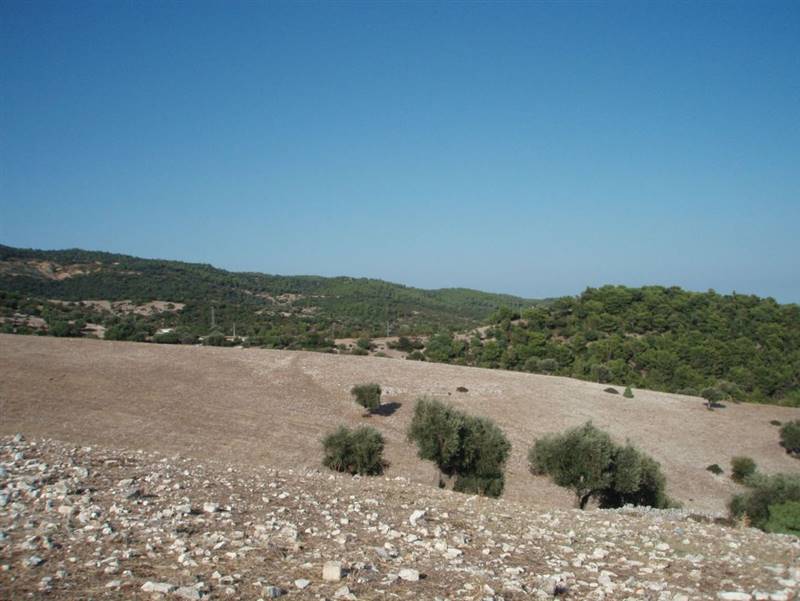 09 MATTINATA Terreno collinare  all'interno de