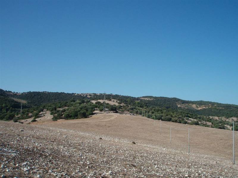 011 MATTINATA Terreno collinare  all'interno d