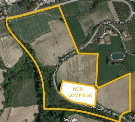 08 CARASSAI - TERRENO IRRIGUO.jpg