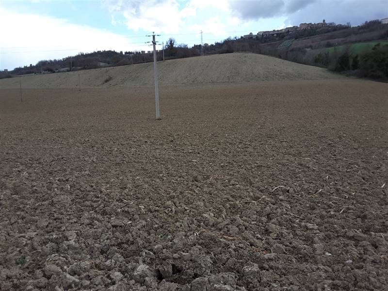 05 CARASSAI - TERRENO AGRICOLO IRRIGUO.jpg