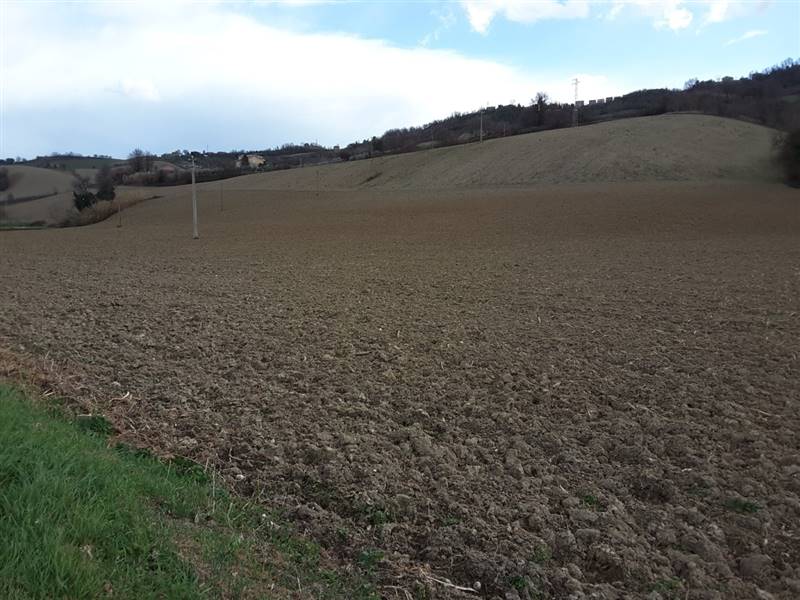 03 CARASSAI - TERRENO AGRICOLO IRRIGUO.jpg