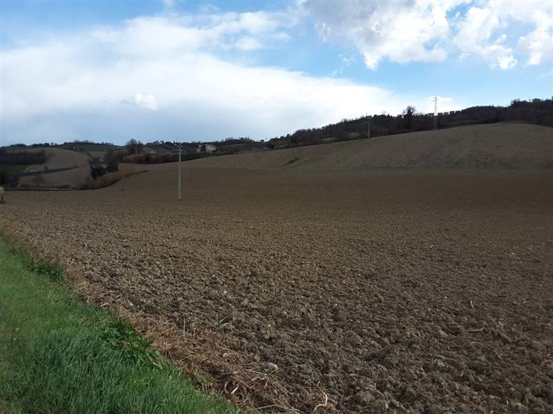 04  CARASSAI - TERRENO IRRIGUO.jpg