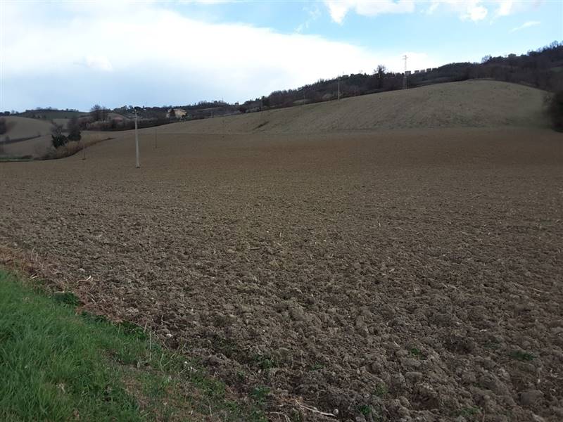 03 CARASSAI - TERRENO IRRIGUO.jpg