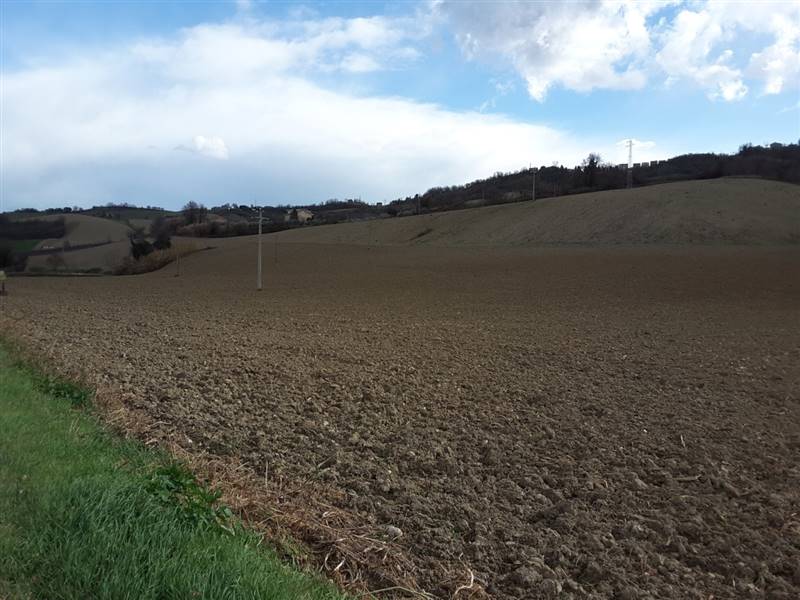 04  CARASSAI - TERRENO AGRICOLO IRRIGUO.jpg