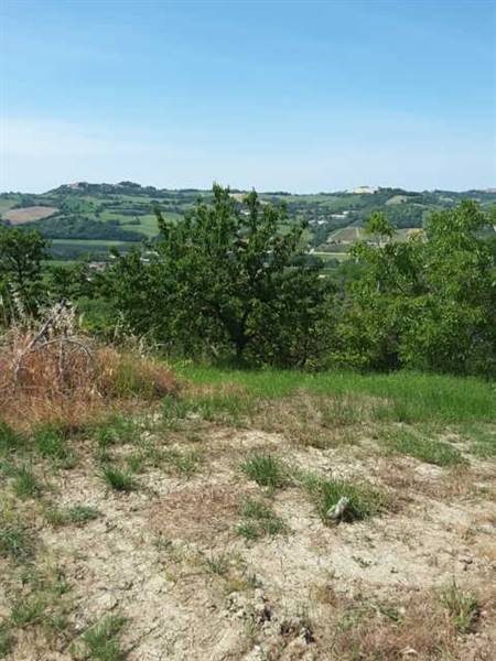06 TERRENO AGRICOLO DI 14 ETTARI CON CASOLARE DA R