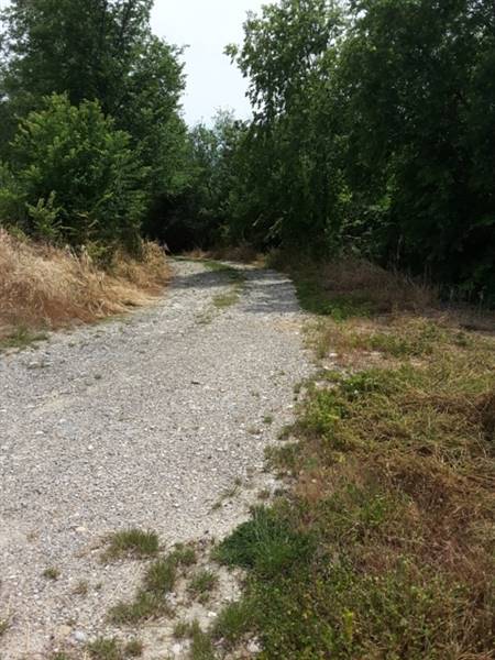 03 TERRENO AGRICOLO DI 14 ETTARI CON CASOLARE DA R
