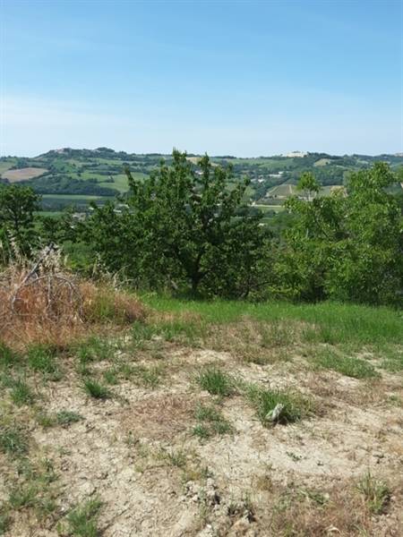 06 TERRENO AGRICOLO DI 14 ETTARI CON CASOLARE DA R