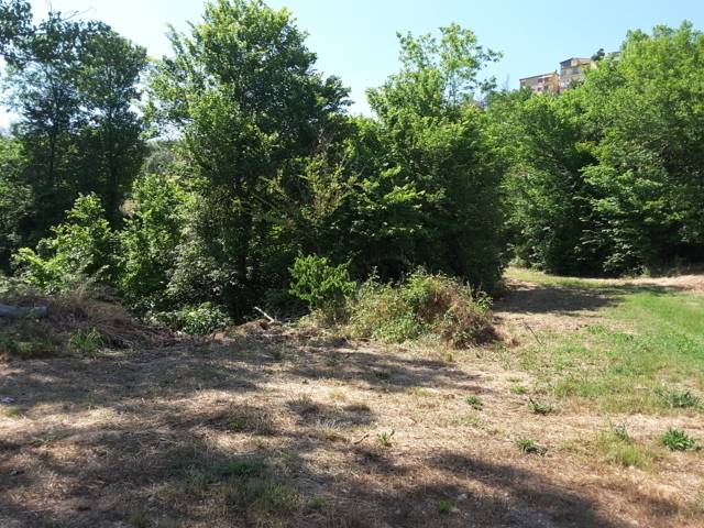 09 RUDERE DA RISTRUTTURARE CON TERRENO CARASSAI.jp