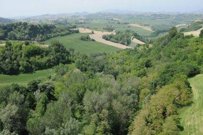 Area naturalistica il parco - bosco