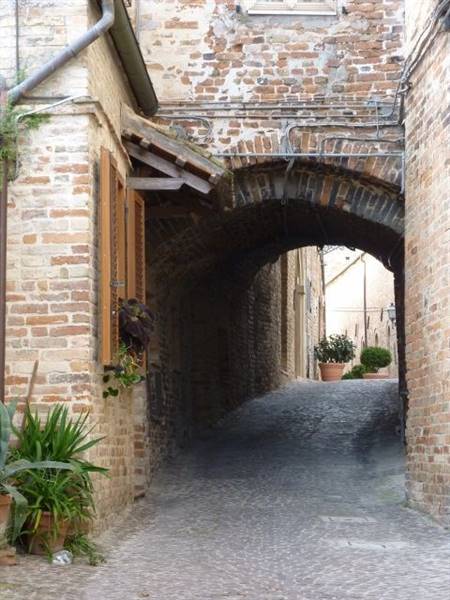 P1070203 (480x640).jpg