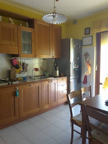 20170422_113344 (600x800).jpg