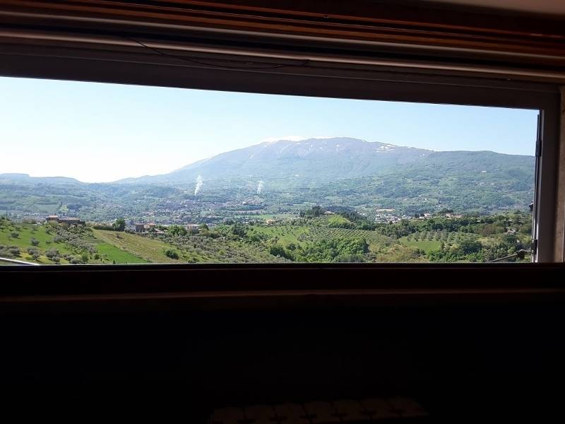 20170422_112308 (800x600).jpg