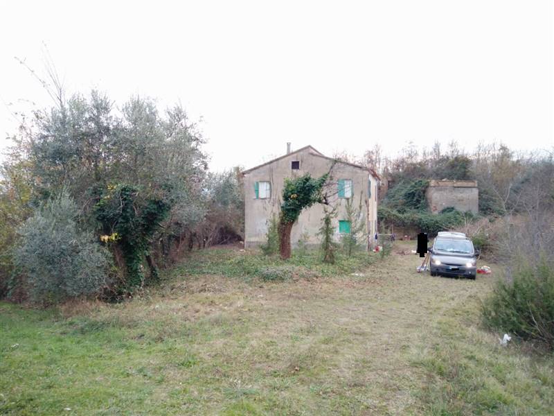 05 ASCOLI PICENO -Terreno di 14 ettari con fabbric