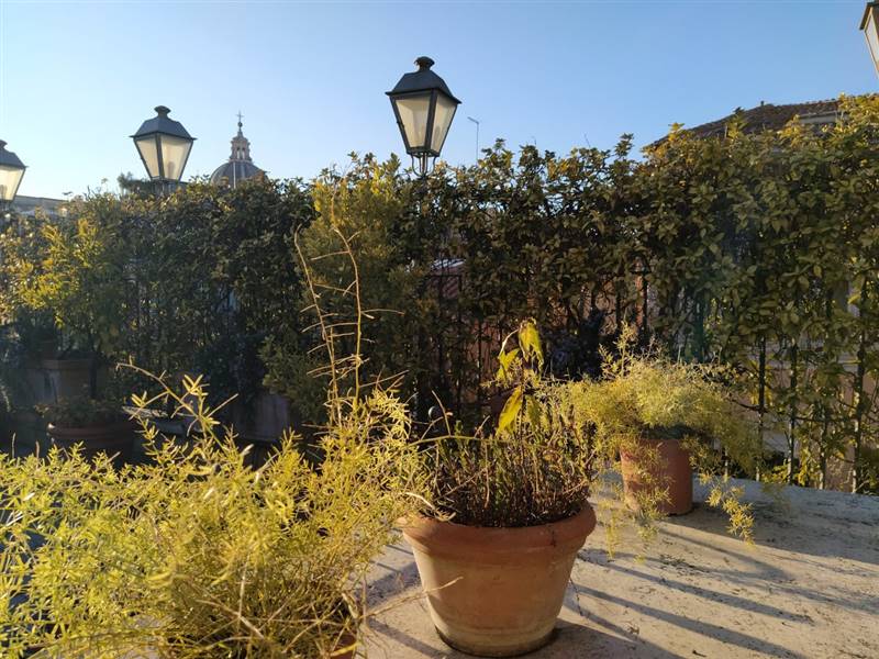 DILEOIMMOBILIARE VENDE ROMA (31).jpg