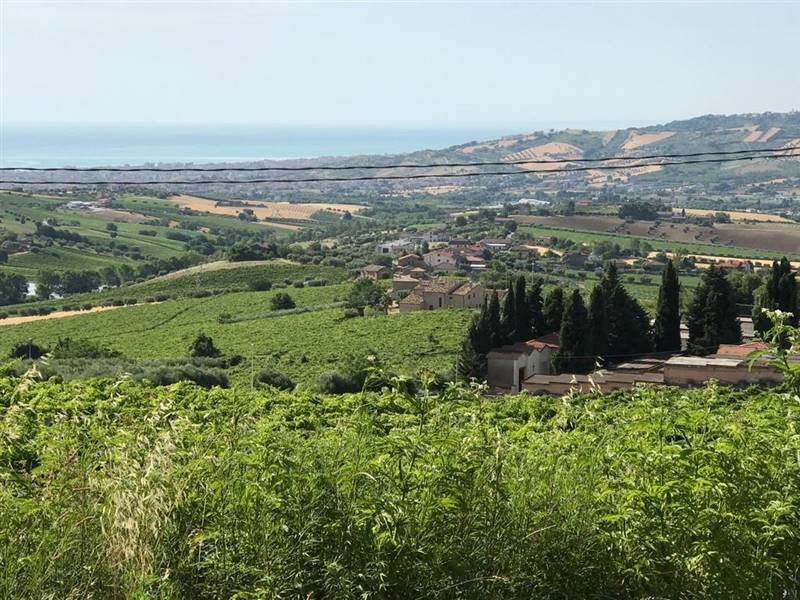 13 TERRENO EDIFICABIE ED AGRICOLO VISTA MARE E MON