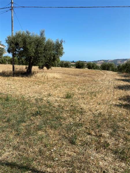 15 TERRENO EDIFICABIE ED AGRICOLO VISTA MARE E MON