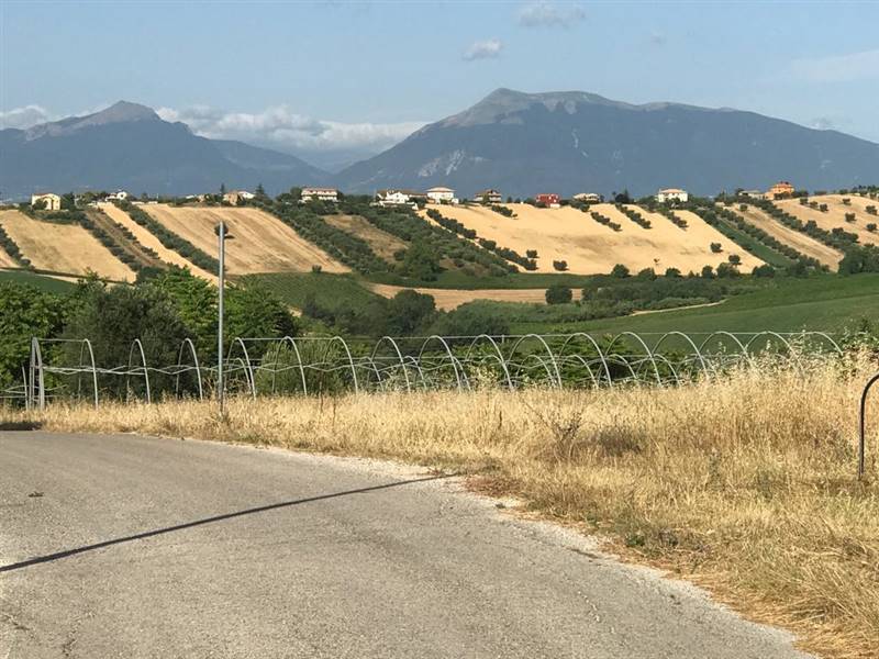 16 TERRENO EDIFICABIE ED AGRICOLO VISTA MARE E MON