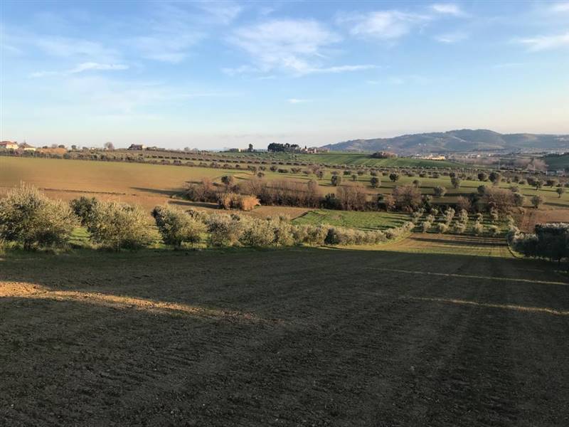 11 TERRENO EDIFICABIE ED AGRICOLO VISTA MARE E MON