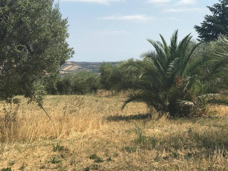 17 TERRENO EDIFICABIE ED AGRICOLO VISTA MARE E MON