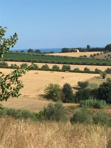 01 TERRENO EDIFICABIE ED AGRICOLO VISTA MARE E MON