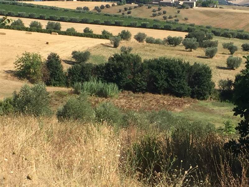 14 TERRENO EDIFICABIE ED AGRICOLO VISTA MARE E MON