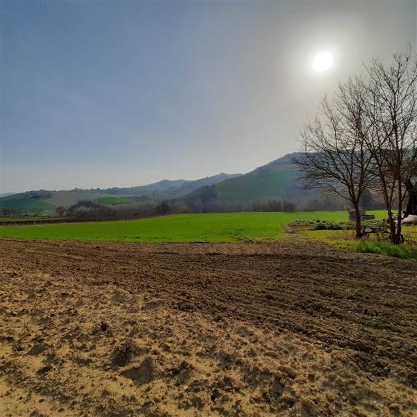 06 RIPATRASONE-CASA INDIPENDENTE CON 12 ETTARI DI