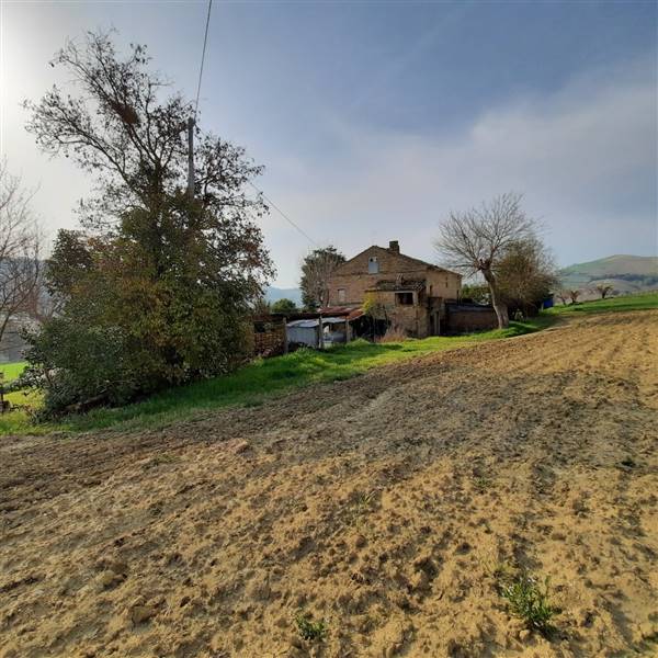 08 RIPATRASONE-CASA INDIPENDENTE CON 12 ETTARI DI