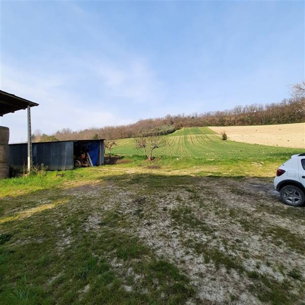 03 RIPATRASONE-CASA INDIPENDENTE CON 12 ETTARI DI