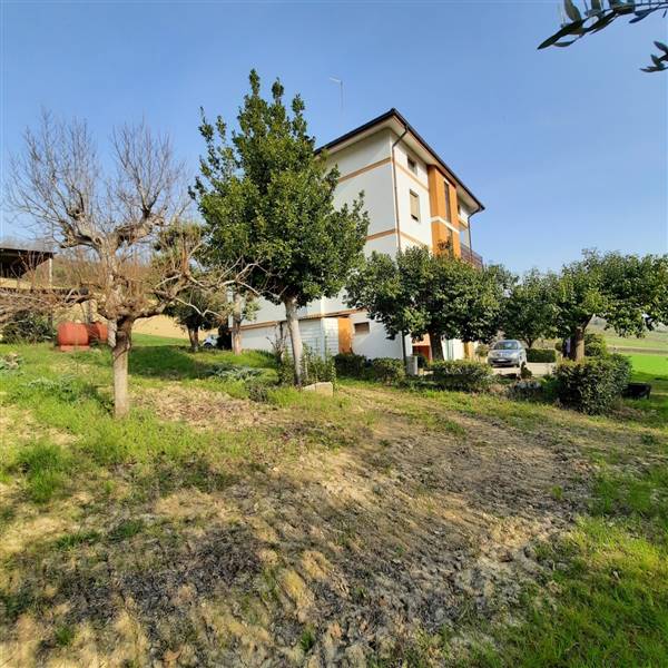 14 RIPATRASONE-CASA INDIPENDENTE CON 12 ETTARI DI