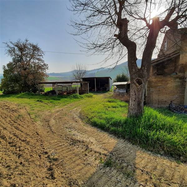 09 RIPATRASONE-CASA INDIPENDENTE CON 12 ETTARI DI