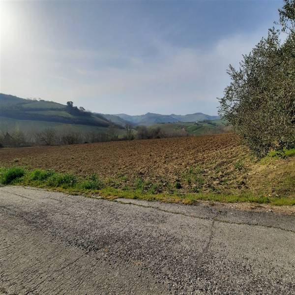 02 RIPATRASONE-CASA INDIPENDENTE CON 12 ETTARI DI