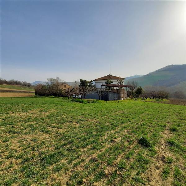 11 RIPATRASONE-CASA INDIPENDENTE CON 12 ETTARI DI