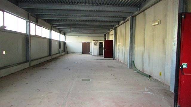dileoimmobiliare capannone (1).JPG