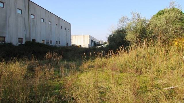 dileoimmobiliare capannone (4).JPG