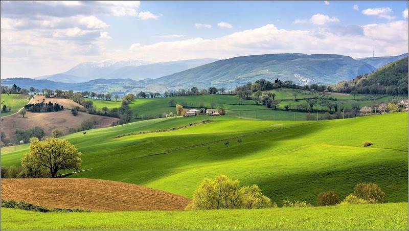 DILEOIMMOBILIARE HOTEL VENDE (4).jpg