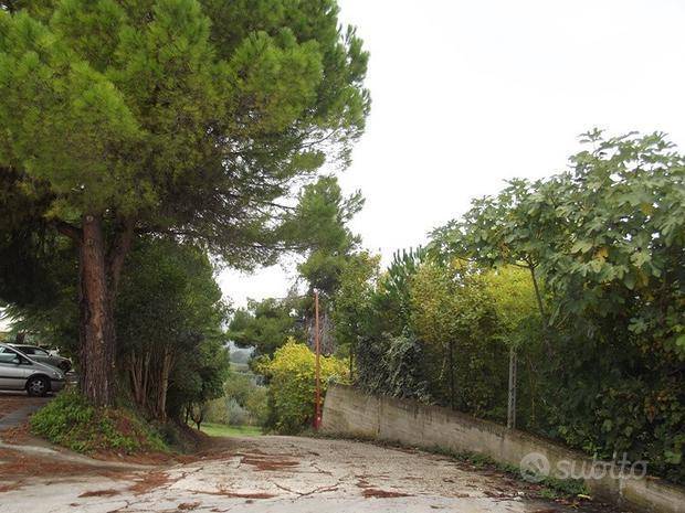 capannone acquaviva con fotovoltaico (6).jpg