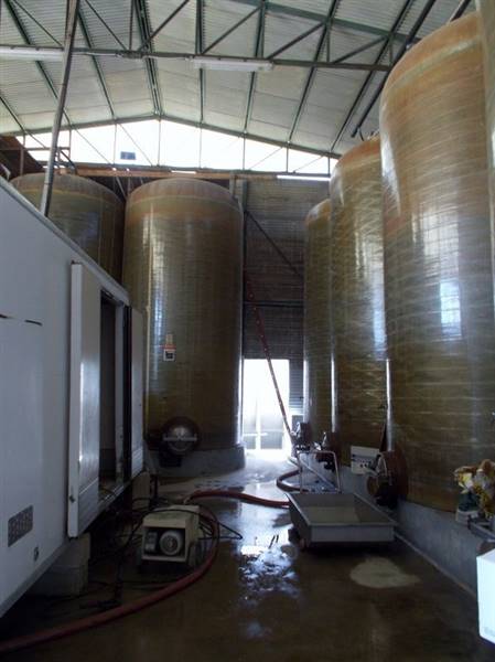 Ripatransone- Azienda Agricola cantina vecchia.jpg