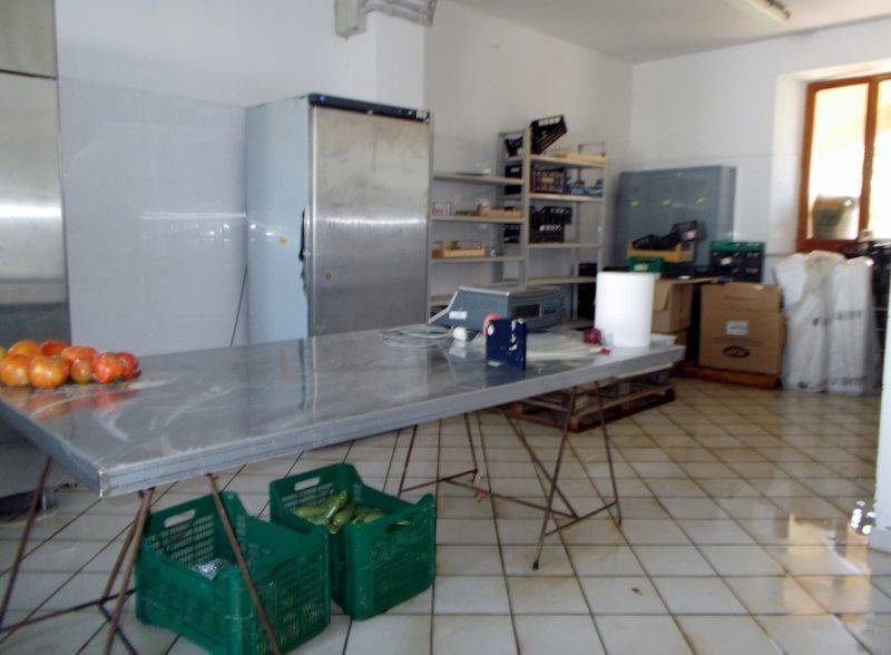 Ripatransone- Azienda Agricola Loale da lavoro.jpg