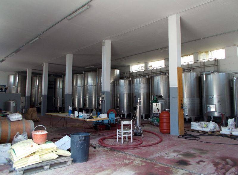 Ripatransone- Azienda Agricola Cantina nuova.jpg
